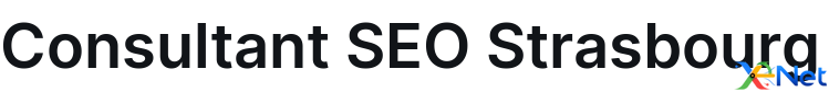 Consultant SEO Strasbourg